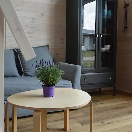 Morska Szyszka & Lesne 別荘 Odargowo