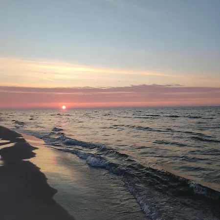 Morska Szyszka & Lesne *