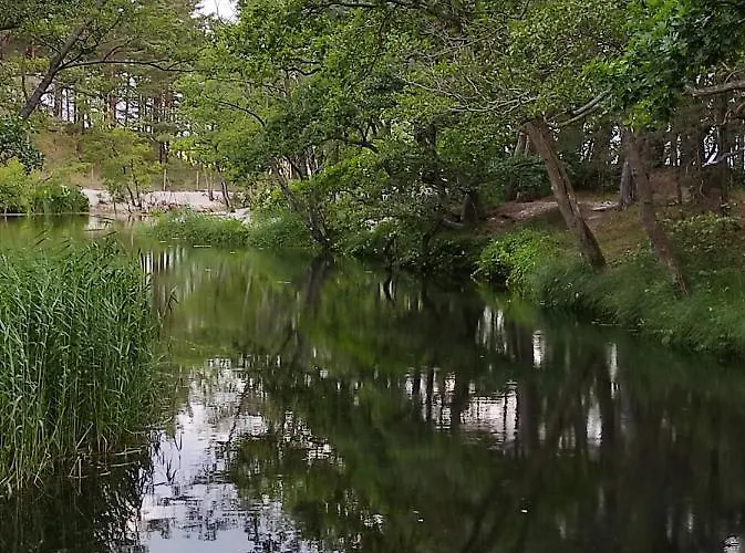 Morska Szyszka & Lesne Odargowo