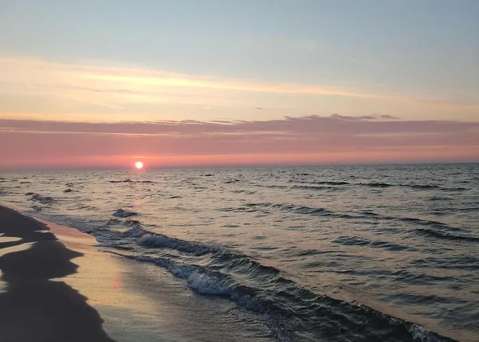 Morska Szyszka & Lesne *