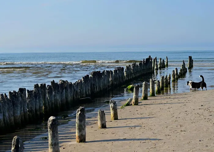 Morska Szyszka & Lesne Semesterbostad
